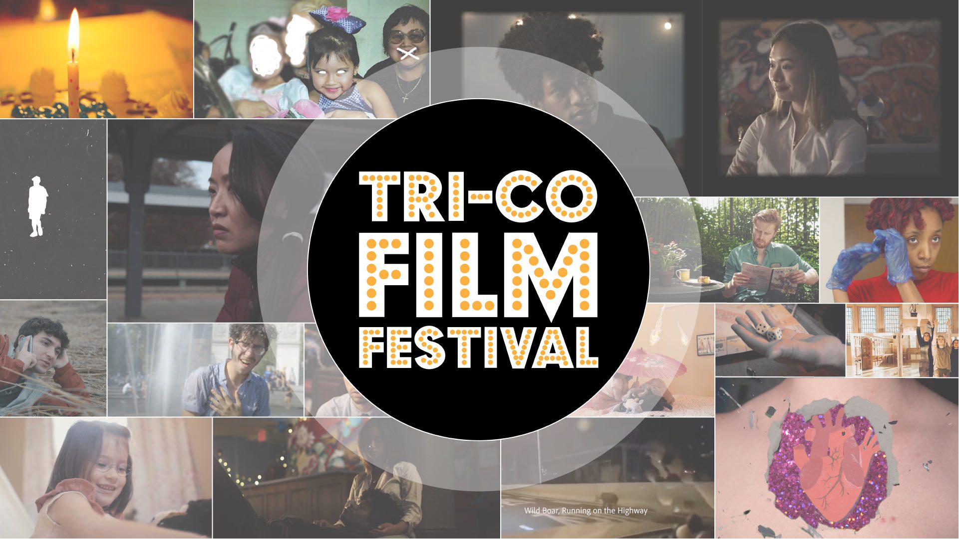 watch the films on the bryn mawr film festival website